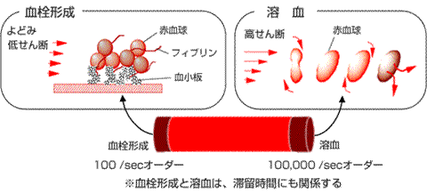 血栓形成と溶血に対する流れの影響（図2）