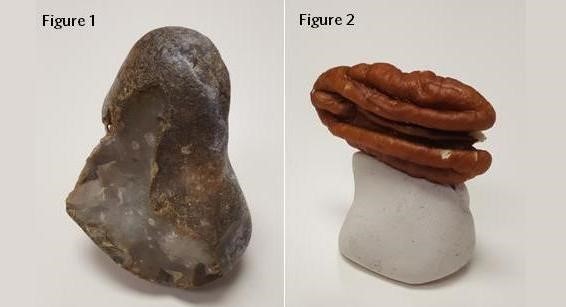 左：見つけた石 右：粘土の土台に置いたピーカンの半分