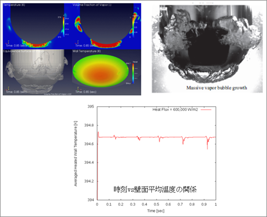 下向き加熱面沸騰解析の結果(写真は実験結果)