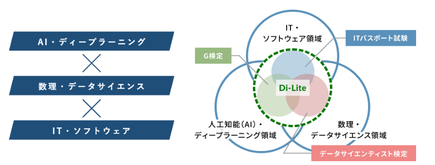 Di-Liteにおける技術領域