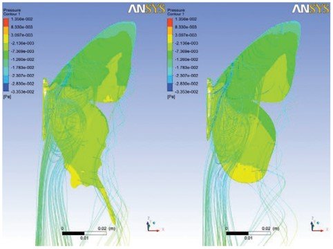 航空機開発のための蝶の飛翔解析​