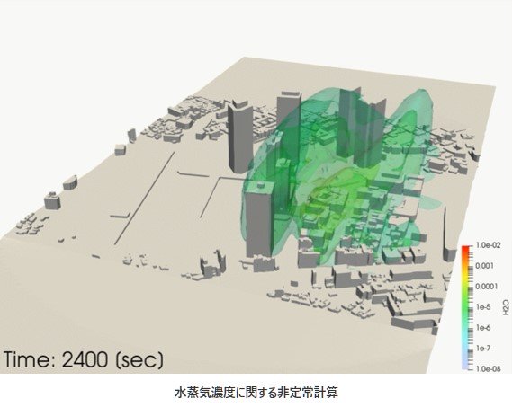 水蒸気濃度に関する非定常計算の図​