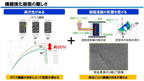 筋の科学事典 : 構造・機能・運動　大型　カバー本 筋の科学事典 : 構造・機能・運動 大型 カバー本