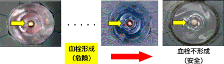 動物実験結果（図5-e）