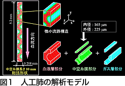 CDAJ news vol.44