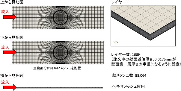 解析モデル